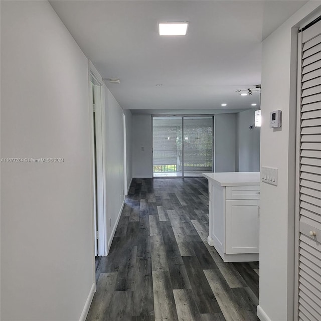 hall with expansive windows and dark hardwood / wood-style flooring