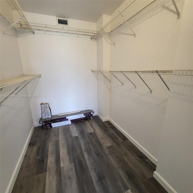 walk in closet with dark hardwood / wood-style flooring