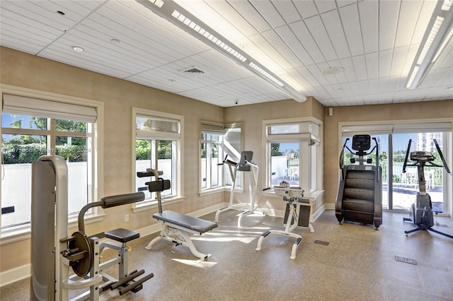 workout area featuring a healthy amount of sunlight