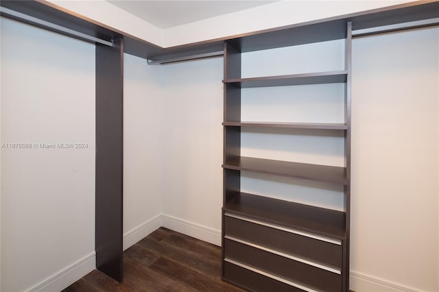 spacious closet featuring dark hardwood / wood-style flooring