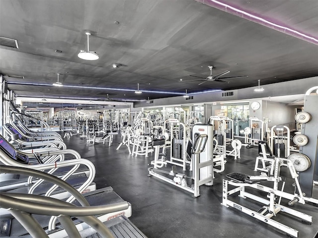 workout area with a wall of windows