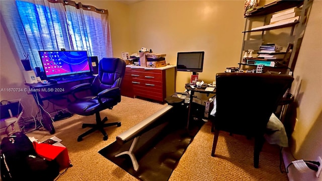 office featuring carpet