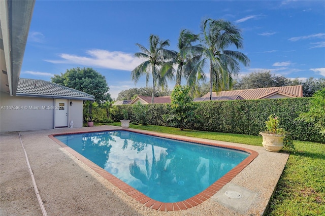 view of pool featuring a patio area