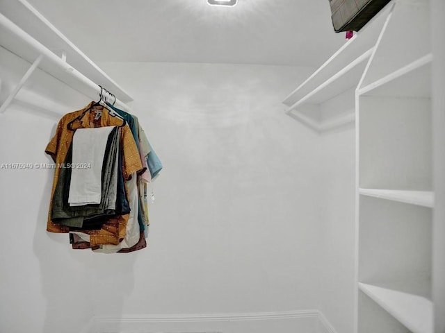 view of walk in closet