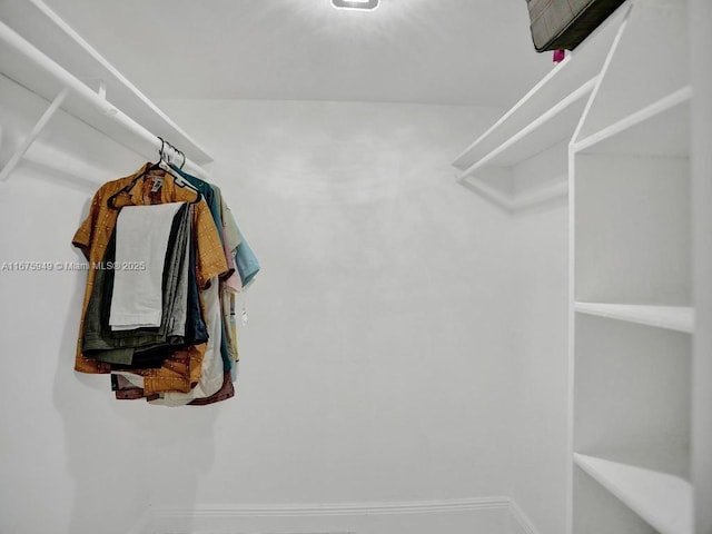 20400 W Country Club Dr Unit 301, Aventura, FL 33180 - view of walk in closet