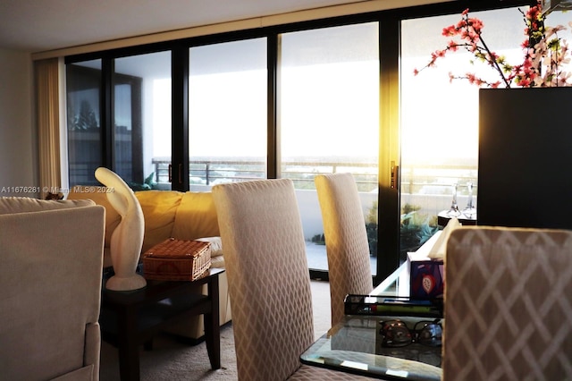 carpeted dining room featuring expansive windows