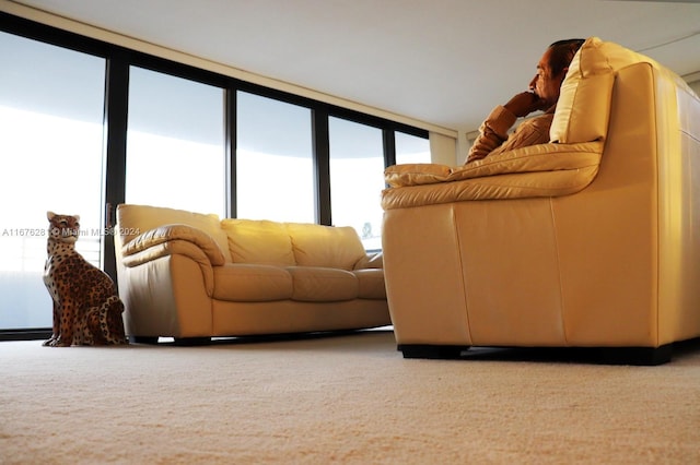 carpeted living room featuring a water view and floor to ceiling windows