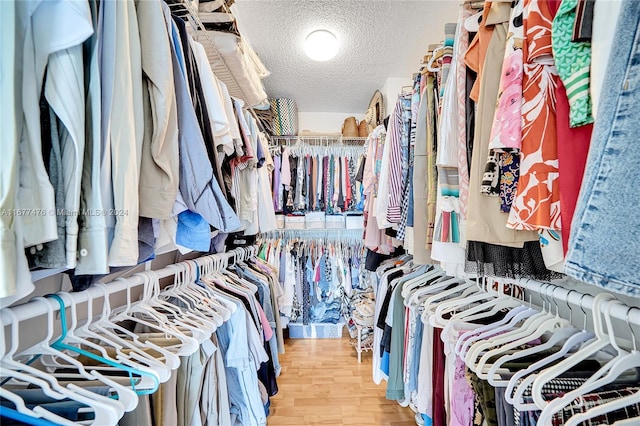 spacious closet featuring wood-type flooring