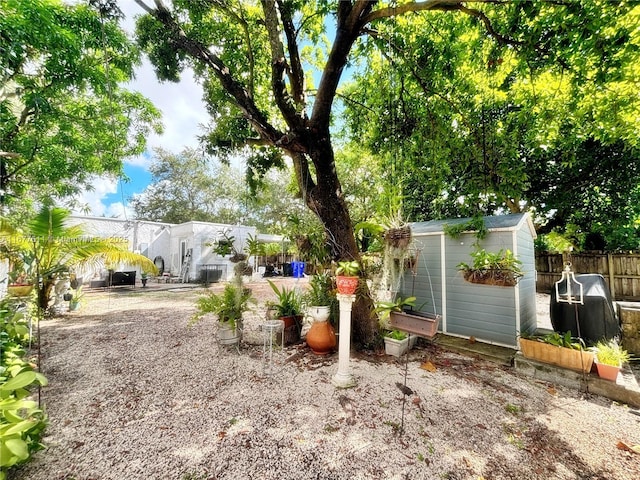 view of yard featuring a shed