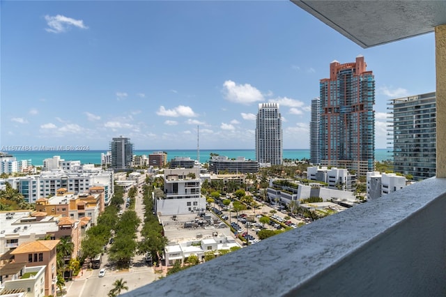 view of water feature featuring a city view