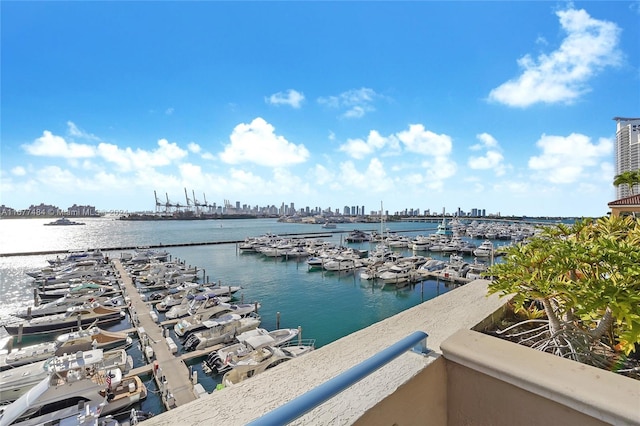 water view with a city view