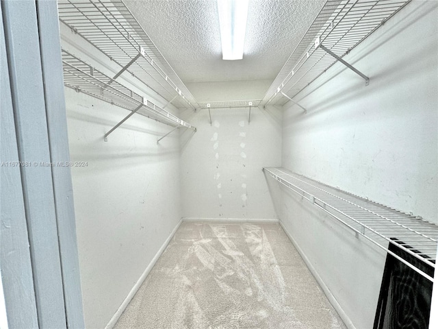 walk in closet featuring light colored carpet