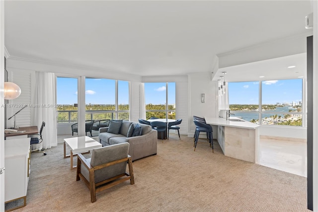 living room featuring light carpet, a water view, sink, and plenty of natural light