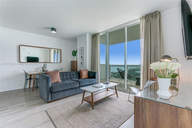 living room featuring light hardwood / wood-style floors, crown molding, and floor to ceiling windows