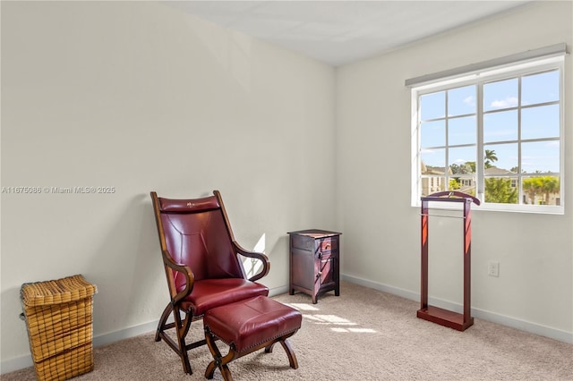 sitting room with baseboards and carpet