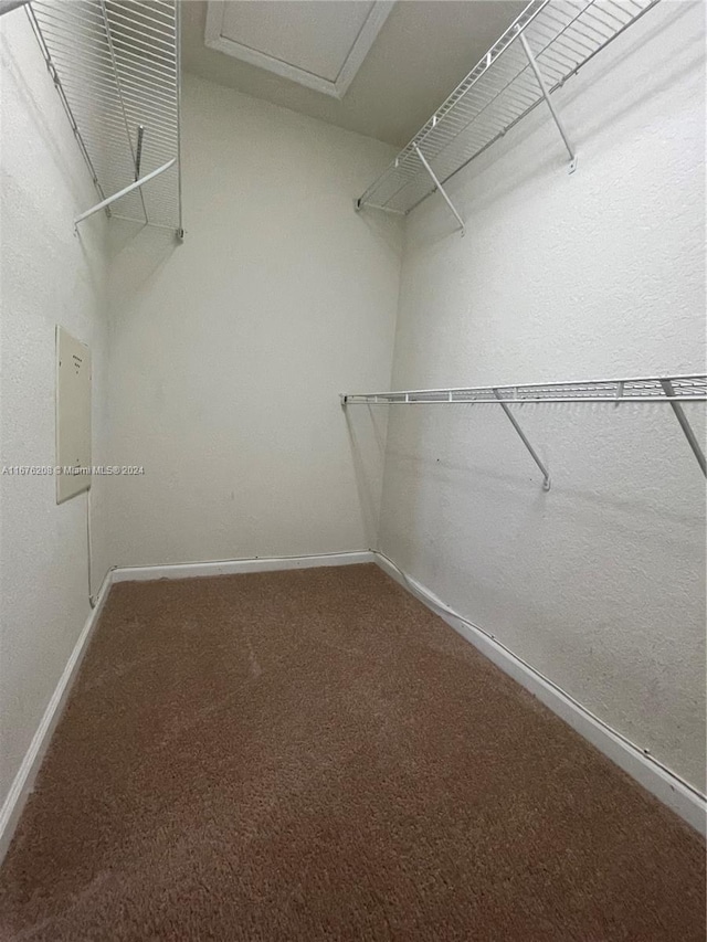 walk in closet featuring attic access and carpet
