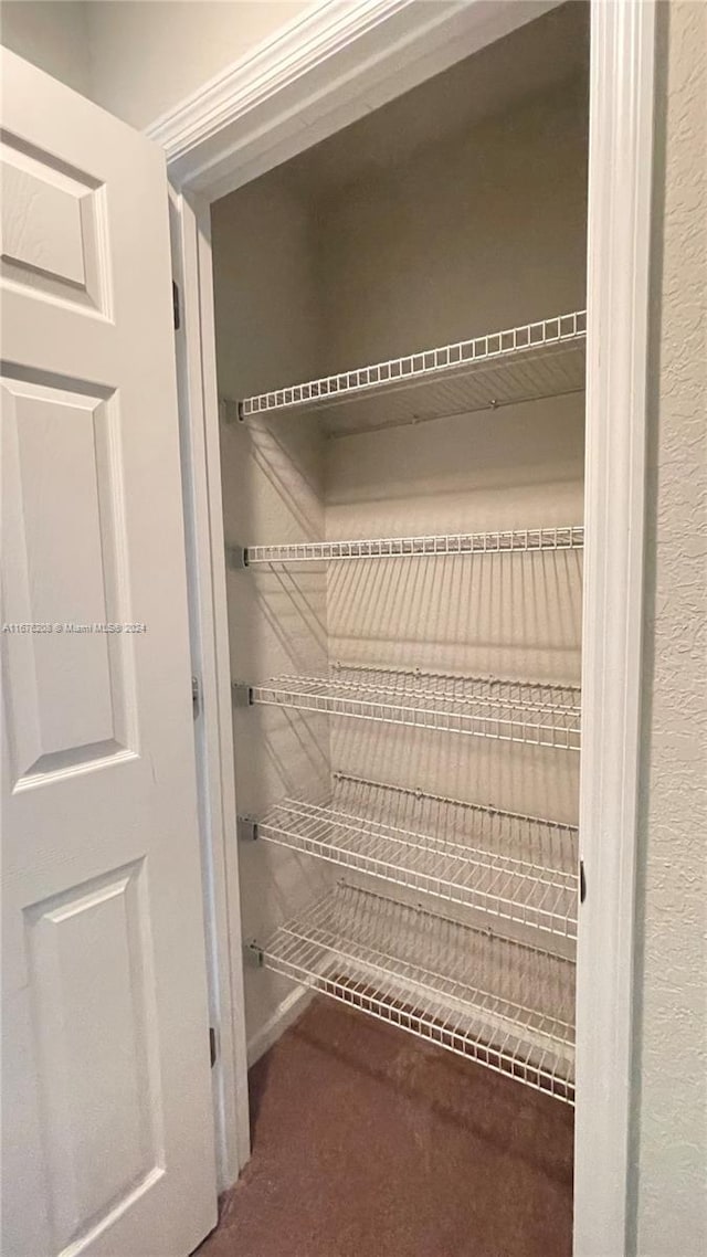 view of closet