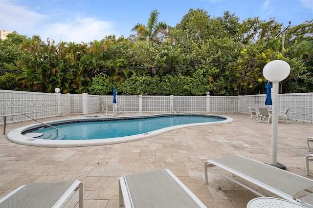 view of pool featuring a patio