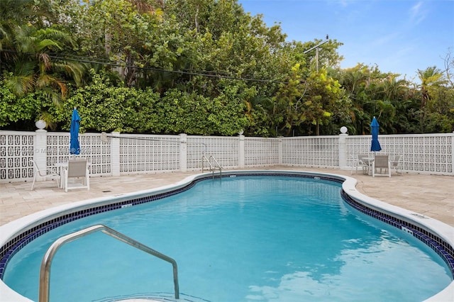 view of pool with a patio area