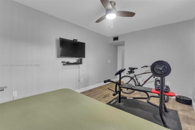 workout area with ceiling fan and wood-type flooring