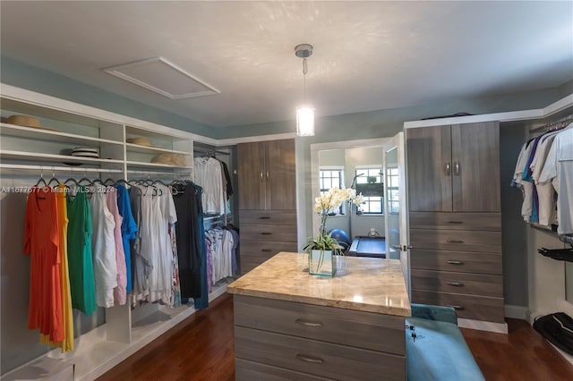 spacious closet with dark hardwood / wood-style flooring