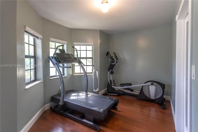 exercise area with hardwood / wood-style flooring and plenty of natural light