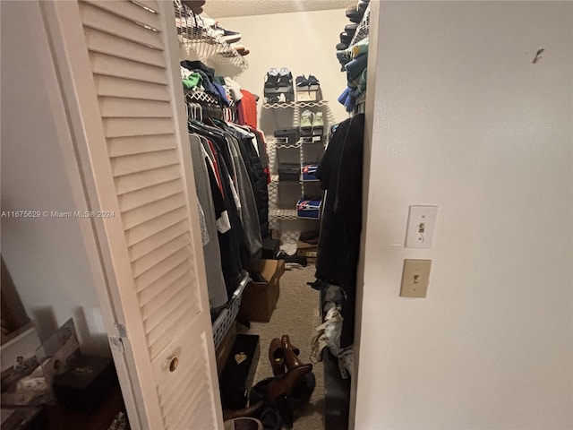 5300 Washington St Unit U103, Hollywood, FL 33021 - walk in closet with carpet