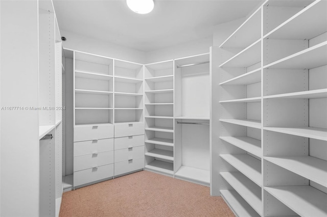 walk in closet with light carpet