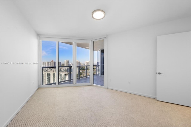 carpeted empty room featuring expansive windows