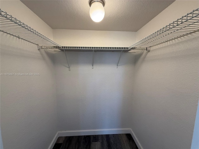 walk in closet with dark wood-type flooring