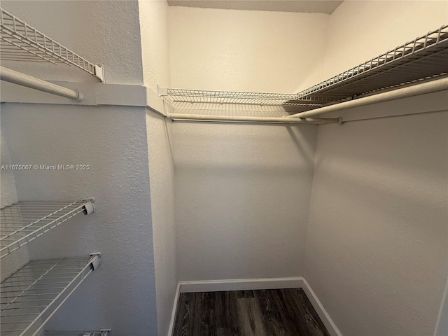 spacious closet with wood finished floors