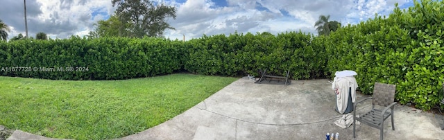 view of yard with a patio area