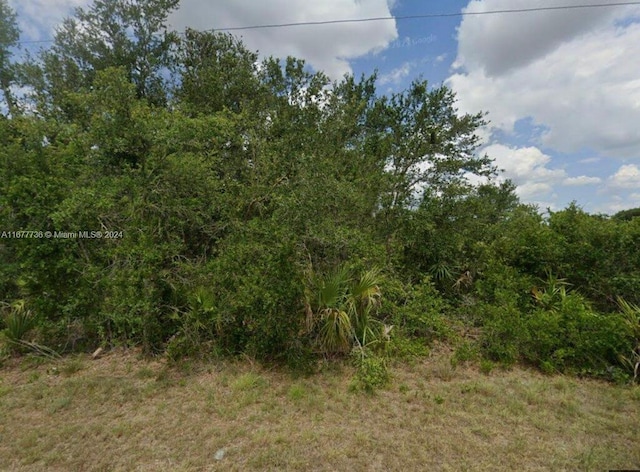 2304 Irving Ave, Lehigh Acres FL, 33920 land for sale