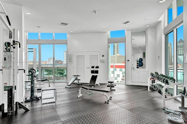 exercise room featuring expansive windows and plenty of natural light