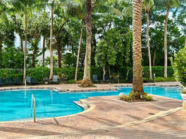 view of swimming pool with a patio area