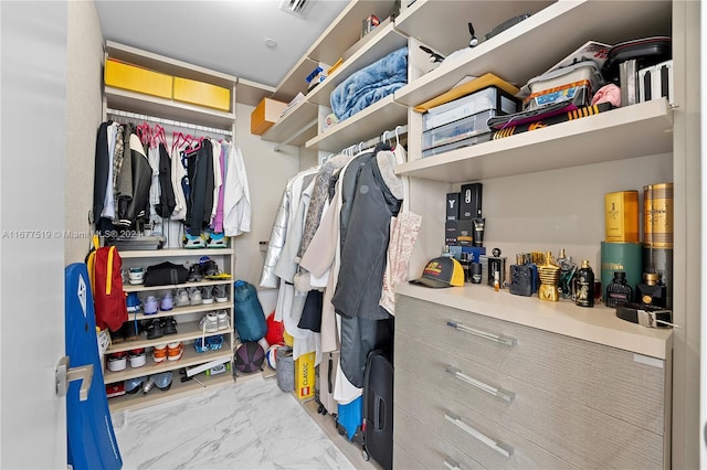 view of spacious closet