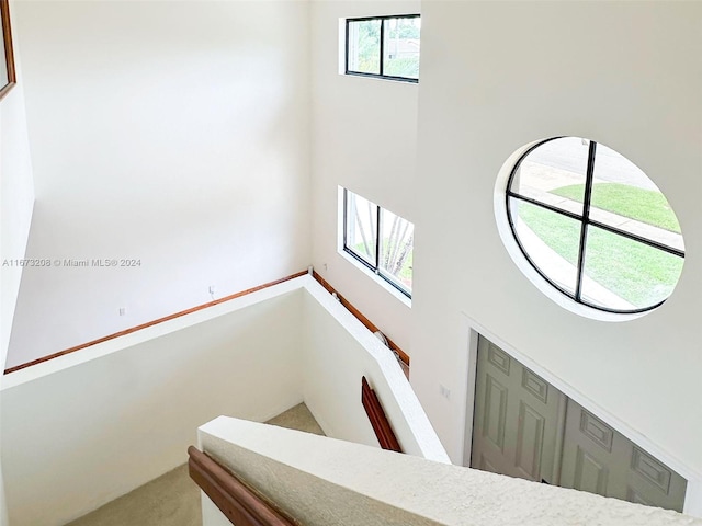 stairway with a towering ceiling and carpet floors