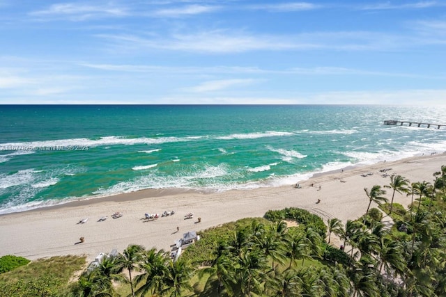 water view with a view of the beach