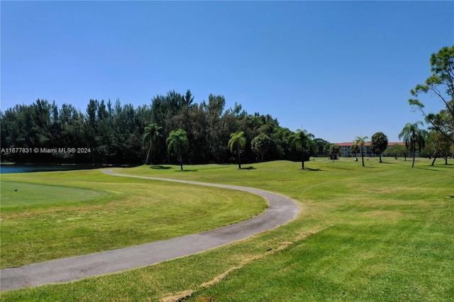 view of community with a lawn