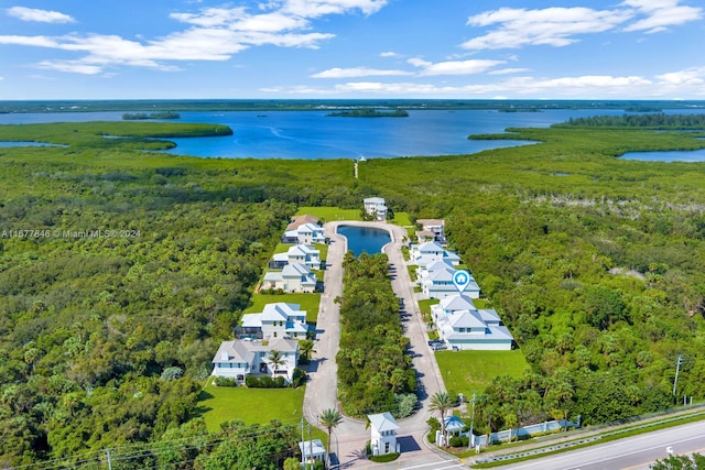 drone / aerial view with a water view