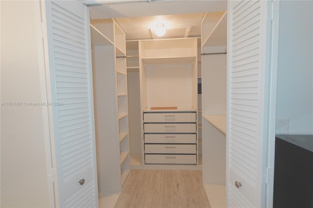 spacious closet featuring light wood-type flooring