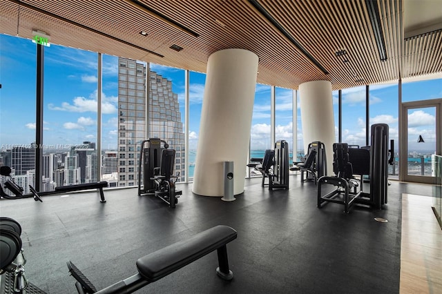 exercise room featuring a wall of windows and a view of city