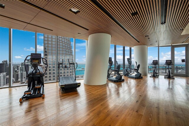 exercise room featuring hardwood / wood-style flooring, a water view, a healthy amount of sunlight, and a wall of windows