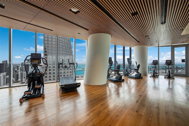 exercise room featuring hardwood / wood-style floors, a wall of windows, and a city view