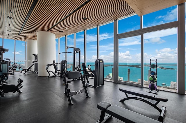 gym with plenty of natural light, a water view, and a wall of windows