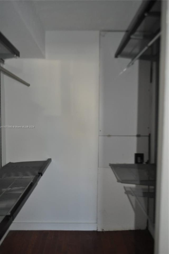 spacious closet featuring dark wood-type flooring