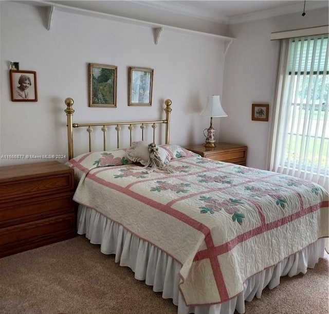 bedroom with crown molding and carpet floors