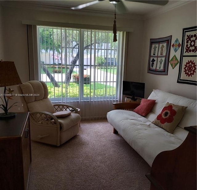 interior space with ceiling fan, carpet flooring, and ornamental molding