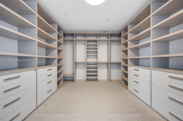 spacious closet featuring light carpet