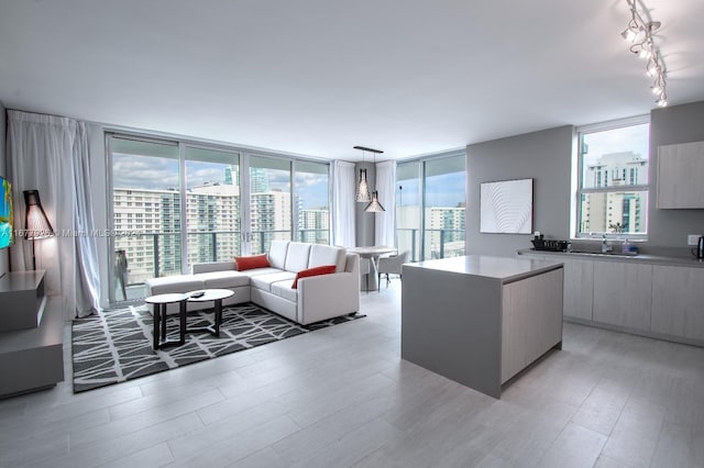 4010 S Ocean Dr Unit R801, Hollywood, FL 33019 - living room featuring expansive windows, light hardwood / wood-style flooring, and track lighting